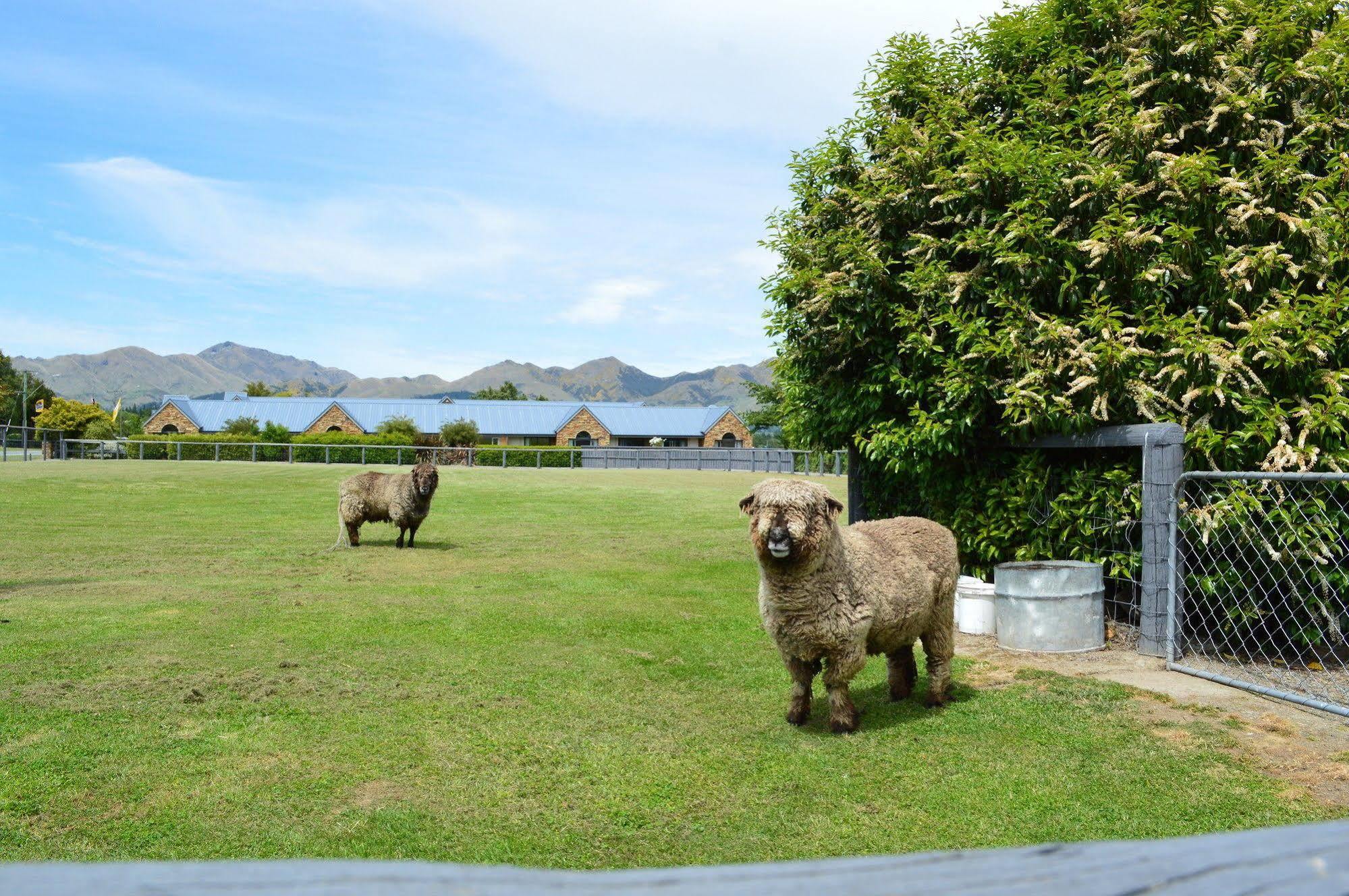 Amuri House Boutique Motel Hanmer Springs Bagian luar foto